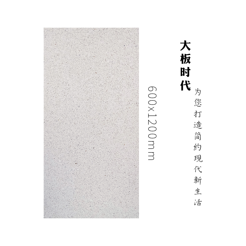 水磨石瓷砖-GASM1260012LP